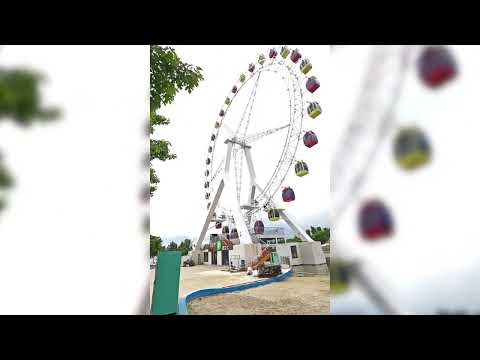 ZP49M Ferris Wheel