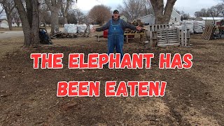 The end of one year, beginning of another.  Happy New Year!  The elephant has been eaten