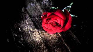 Kırmızı gülün alı var - Trakya Havası (DAMAR)