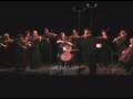 Cello Concerto in B flat Major, G.482 - I. Allegro moderato
