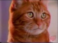 Friskies Television Commercial 1991