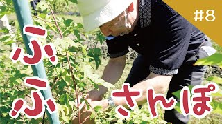 ふふさんぽ ８　「山の辺の道」Ｈ.Ａ.Ｍ.Ａ.木綿庵（ゆうあん）Part２