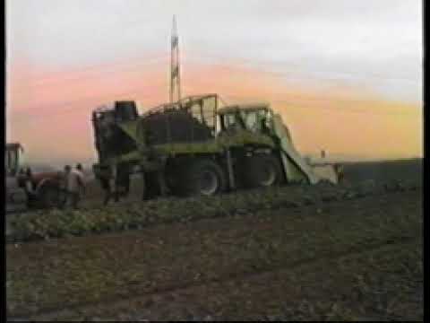 Claas Xerion prototype Project 207 harvesting sugar beet in the Netherlands in 1988 + NO MUSIC