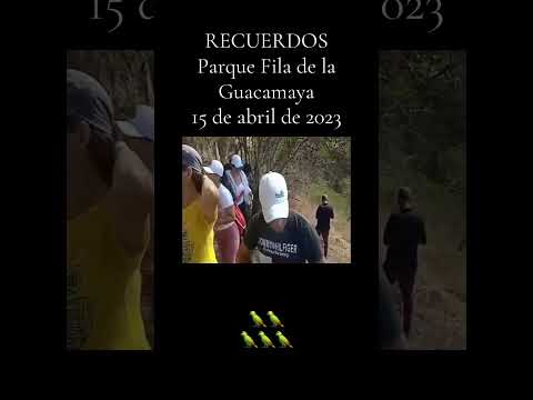 Cueva de la Guacamaya 🦜. Valencia estado Carabobo.