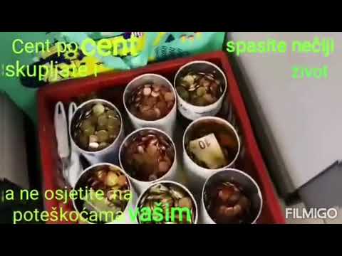 Koje su vrste sadake i koje su koristi sadake