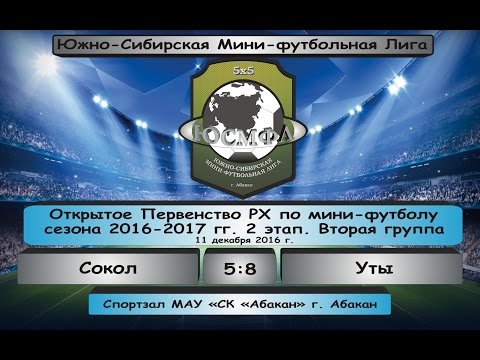 Открытое Первенство РХ. Сезон 2016-2017 гг. Сокол - Уты 5:8, 11.12.2016 Обзор