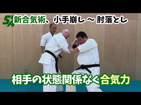 【新合気術】小手崩し・上段からみ落とし・下段からみ抑え・肘落とし
