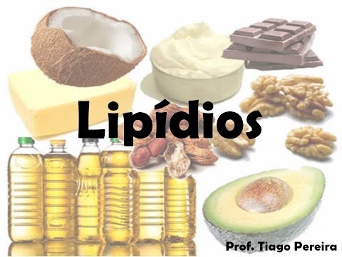 Lipídios | Paródia da música Péssimo negócio (Dilsinho) - Prof. Tiago Pereira