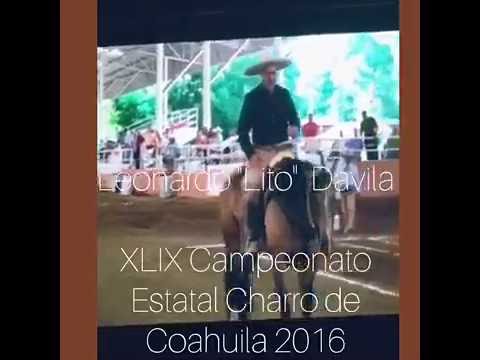 CALA PERFECTA DE "LITO" DÁVILA DE VALLE DE SALTILLO 48 PUNTOS - YEGUA WIMPY