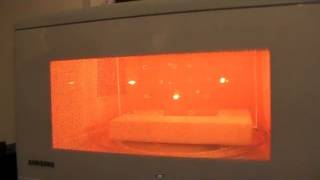 Best Spot in the Microwave? - Smarter Every Day 6