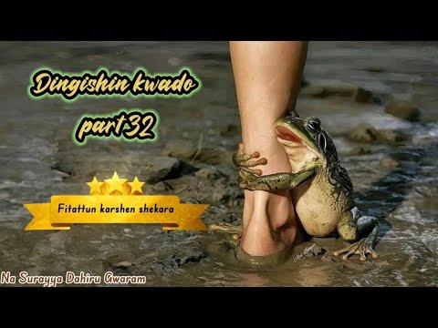 Dingishin kwado part 32