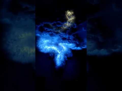 In The End (Mellen Gi Remix) Tommee Profitt, Fleurie & Mellen Gi