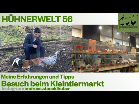 Hühnerwelt 56 Besuch bei einem Kleintiermarkt - Wie sind die Zustände? 2023