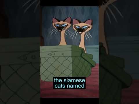 Disney Racism - Lady & the Tramp