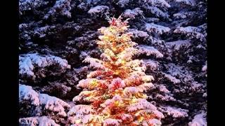 Boney M - Oh Christmas Tree
