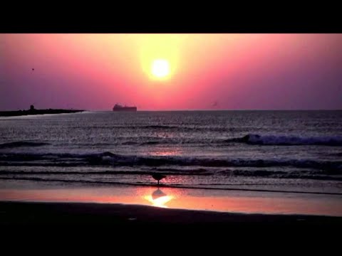 Fliptrix - See The Sun (VIDEO) (Prod. Medison)