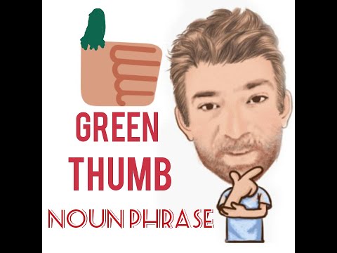 English Tutor Nick P Noun Phrase (301) Green Thumb - Origin