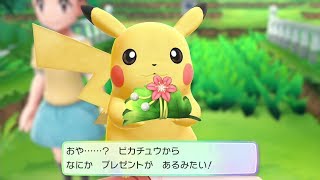 【ピカブイ】ピカチュウにプレゼントをもらった!ビーだま【ポケモン レッツゴー ピカチュウ】【Pokemon Pikachu】