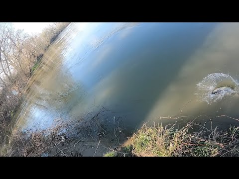 pecanje Soma na (L.M.G. Varalice) glavinjara-Glavurdan-40gr-8cm (Velika Morava) (Catfishing)