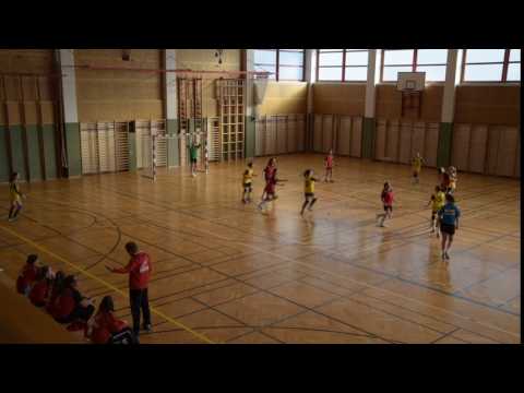 U13 Wr. Neustadt vs. St. Pölten 2017-02-25