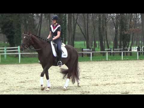 Capuccina von Sir Fidergold/ Sarkozy