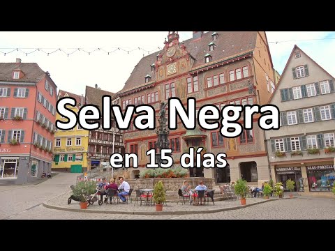📌 SELVA NEGRA en 15 días (Friburgo, Triberg, Stuttgart...) 🟢 GUÍA DE VIAJE (4K) | Alemania