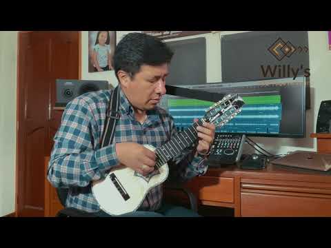 WILLYS - CALZON DE SEDA - LA PULGUITA - Cueca