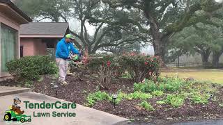 Best Landscape Maintenance Company