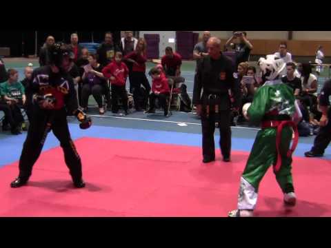 Brian Ho-Pham vs Team Total Impact - Quebec Open 2015 - Fight 3