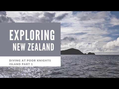 Diving at the Poor Knights Islands Part 1 | New Zealand Travel Vlog