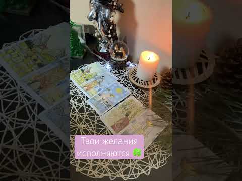 7 декабря 2024 г.