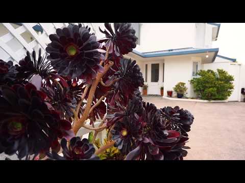 Raywhite Maguires One Team - 8B Nihill Crescent, Mission Bay