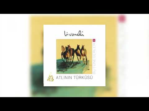 Video Yükleniyor...