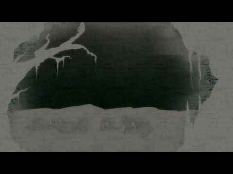 Filly in the box - Smog blind