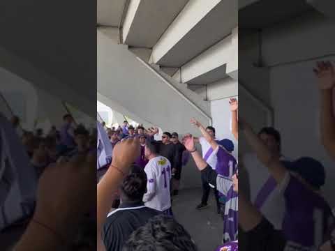 "El vialino es cagón" Barra: Los Lilas &bull; Club: Club Deportes Concepción