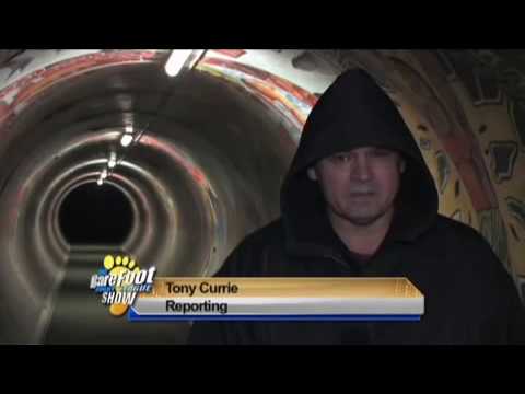 The Barefoot Rugby League Show S3 EP19 NSW Cup Team Auckland Vulcans Team - Tony Currie