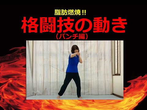 格闘技の動き（パンチ編）