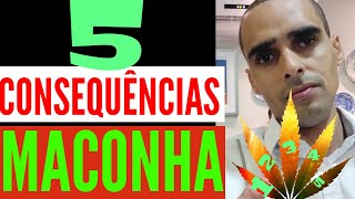 5 consequências do uso da maconha (marijuana) - Dr Cleber Santana - CRM 17796