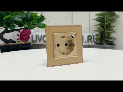 Розетка электрическая с заземлением защитными шторками 16A + USB type C с блоком питания 18W Livolo, цвет золотой (механизм) VL-FCTF16A.UC18W-2AP
