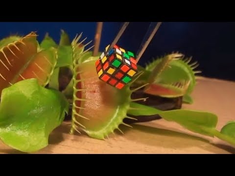 Niesamowite rzeczy które musisz zobaczyć 