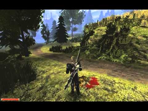 Lets Play Gothic 2 DNDR Part 216 - Suchende schlachten