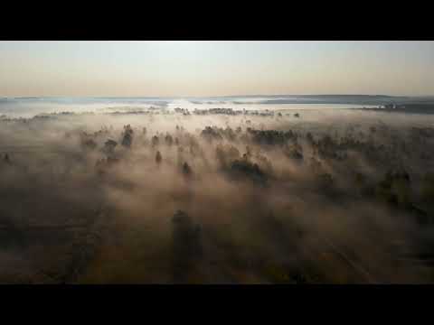 Desanka Maksimović – „Strepnja“ // Lazar Ristovski - ANTOLOGIJA LJUBAVNE SRPSKE POEZIJE