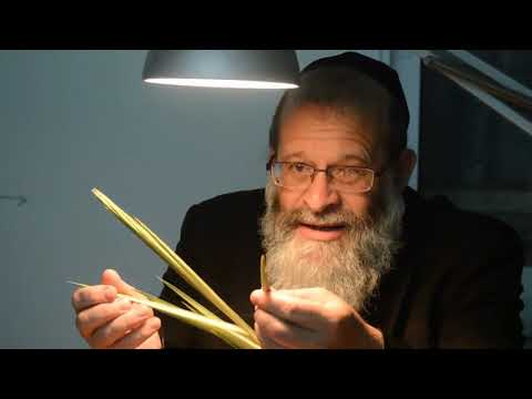 download lagu mp3 mp4 Arba Minim, download lagu Arba Minim gratis, unduh video klip Arba Minim