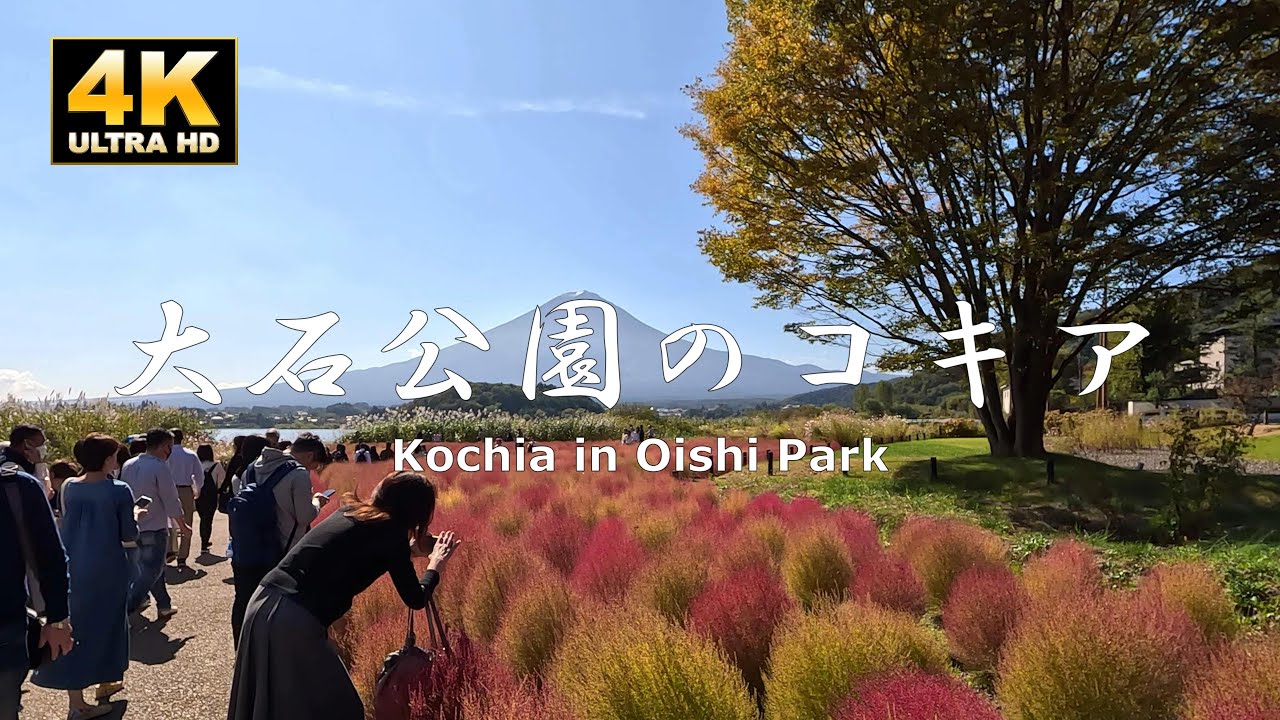 Embark on a captivating virtual exploration of Oishi Park.
