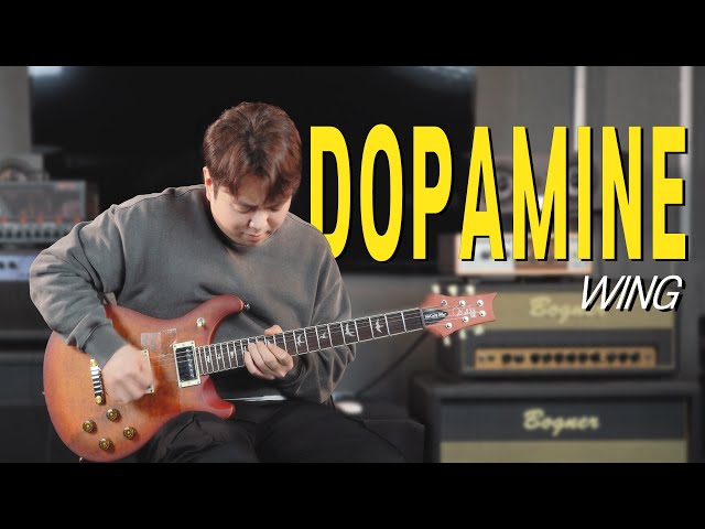 Vídeo relacionado con PRS SE Exotic McCarty 594 Laurel Burl LTD Vintage Sunburst - Guitarra eléctrica