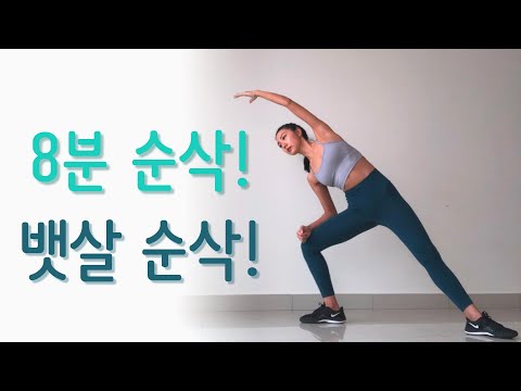 Low Impact Standing Abs Workout 8 MIN!