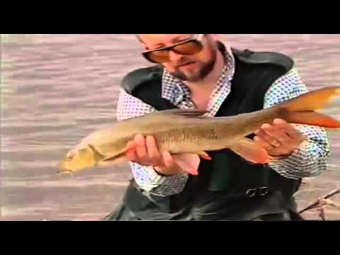 Go Fishing - John Wilson - Down on the Avon