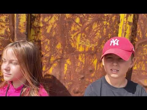 Lesja " Dajcie żyć"