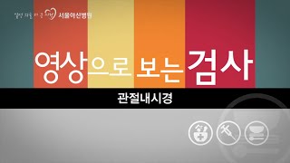 관절내시경 미리보기