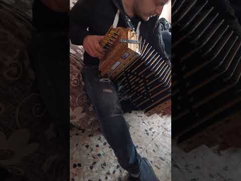 Tarantella Calabrese Bruno Marzano Solo Organetto